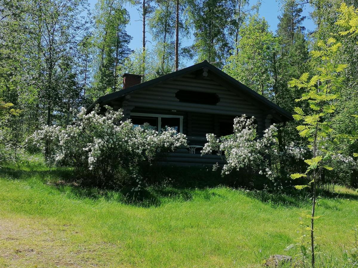 Mansikkaniemen Lomakeskus Rantasalmi Exterior photo
